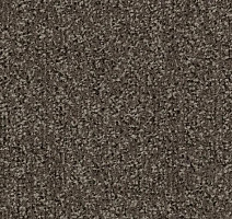 Грязезащитные покрытия Forbo Coral Classic 4764 Taupe фото 1 | FLOORDEALER